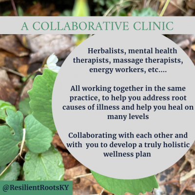 Collaborative wellness clinic